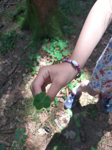 Image La Forêt racontée aux enfants