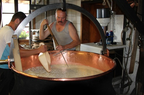 Image Fabrication du fromage d'alpage, déjeuner au chalet et balade dans les alpages
