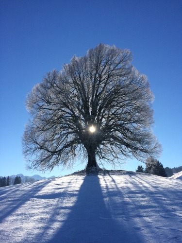 Image Dernière sortie du programme hiver 2019/2020